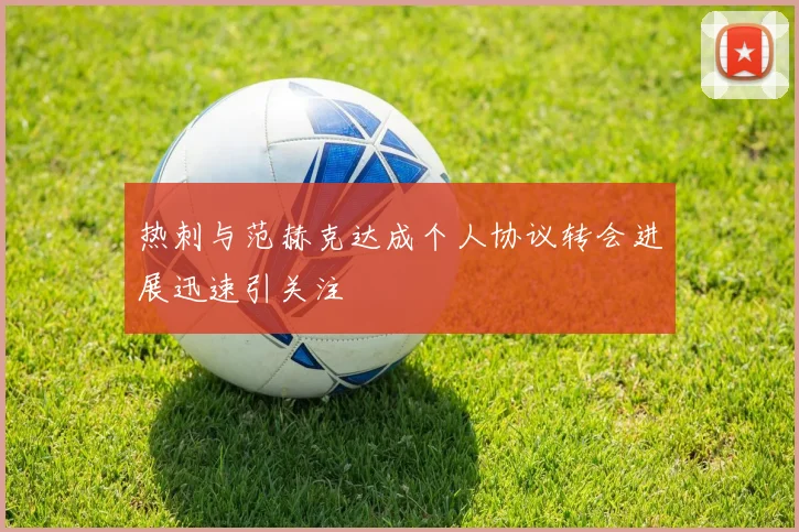 热刺与范赫克达成个人协议转会进展迅速引关注